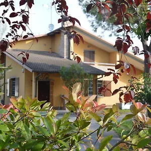 Affittacamere Pidkova